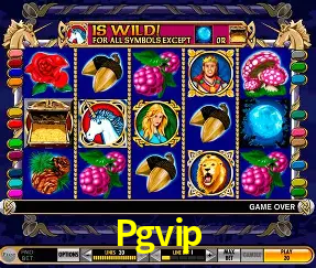 Descubra a Magia dos Jogos de Arcade no Pgvip
