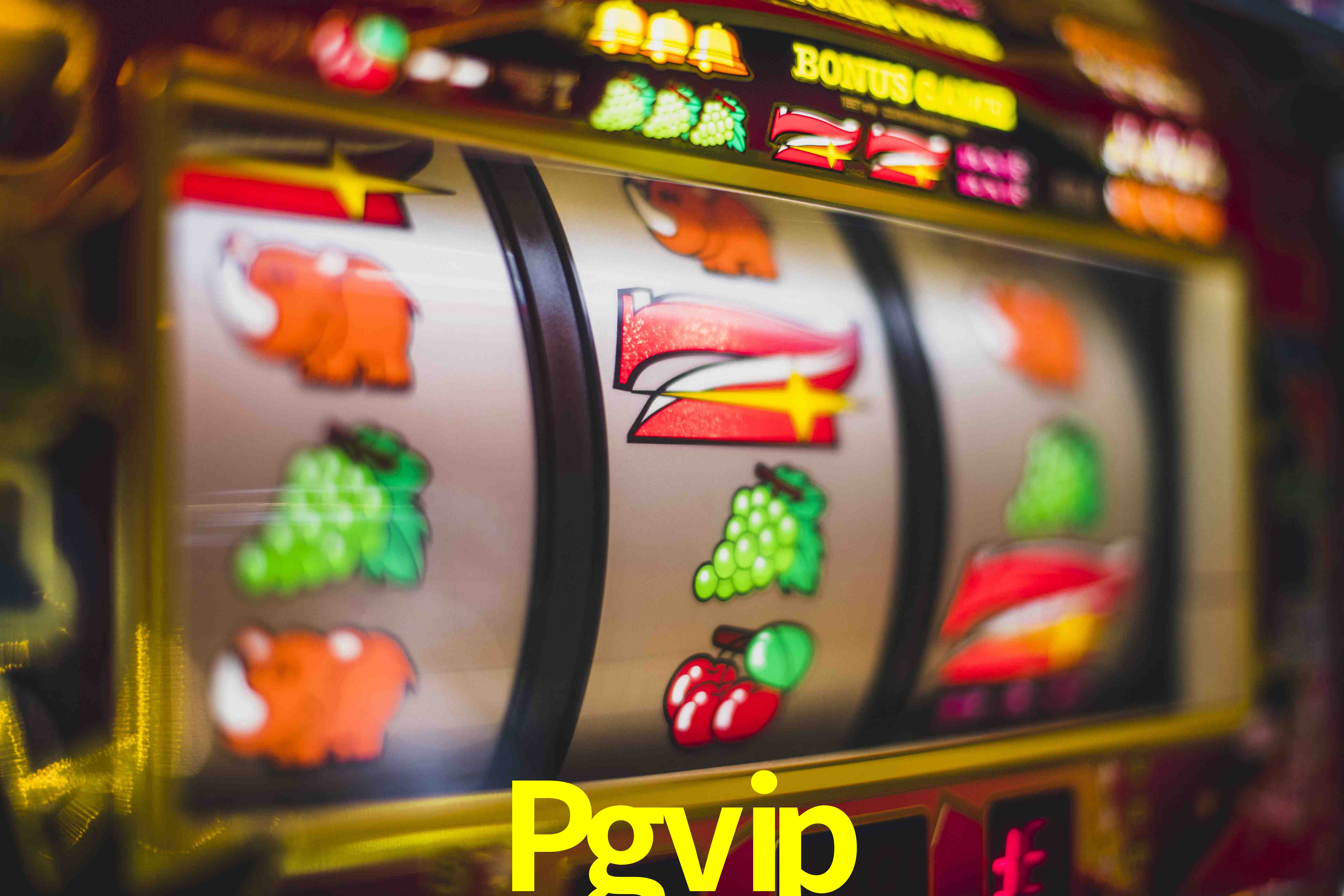 Experiência VIP Pgvip