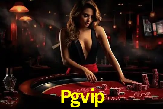 Pgvip Salvador - Support